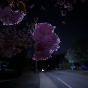 Meet your Posher, Marcus